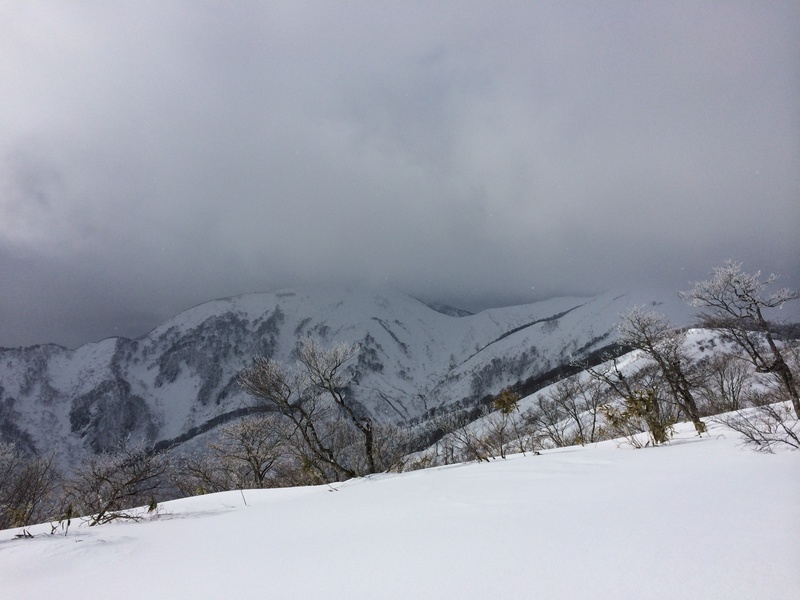 f:id:nceedo:20160206130354j:plain