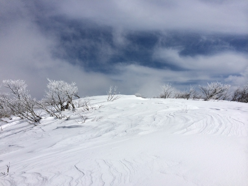 f:id:nceedo:20160206130540j:plain