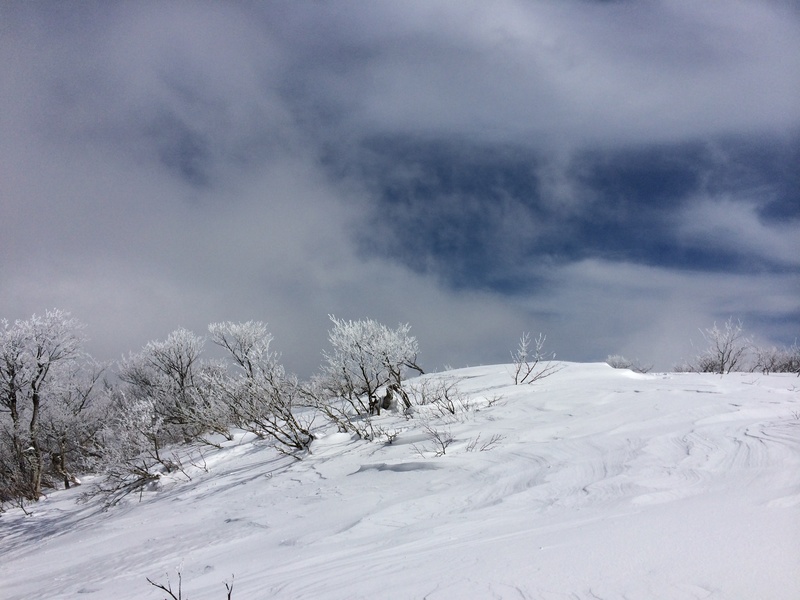 f:id:nceedo:20160206130542j:plain