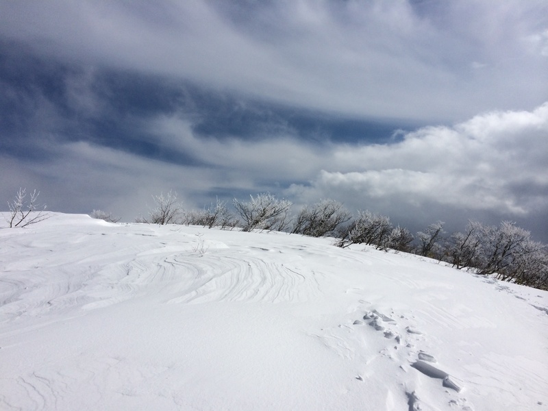 f:id:nceedo:20160206130545j:plain