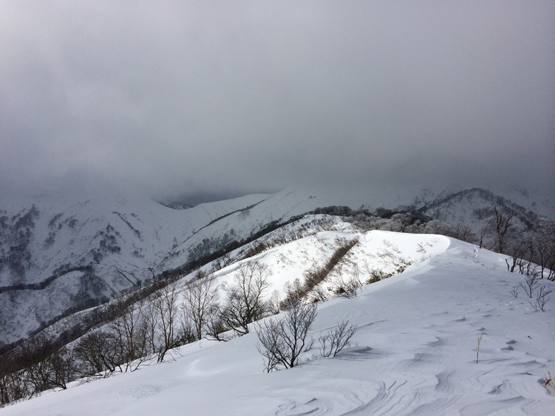 f:id:nceedo:20160206130552j:plain