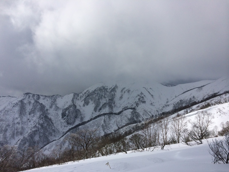 f:id:nceedo:20160206130554j:plain