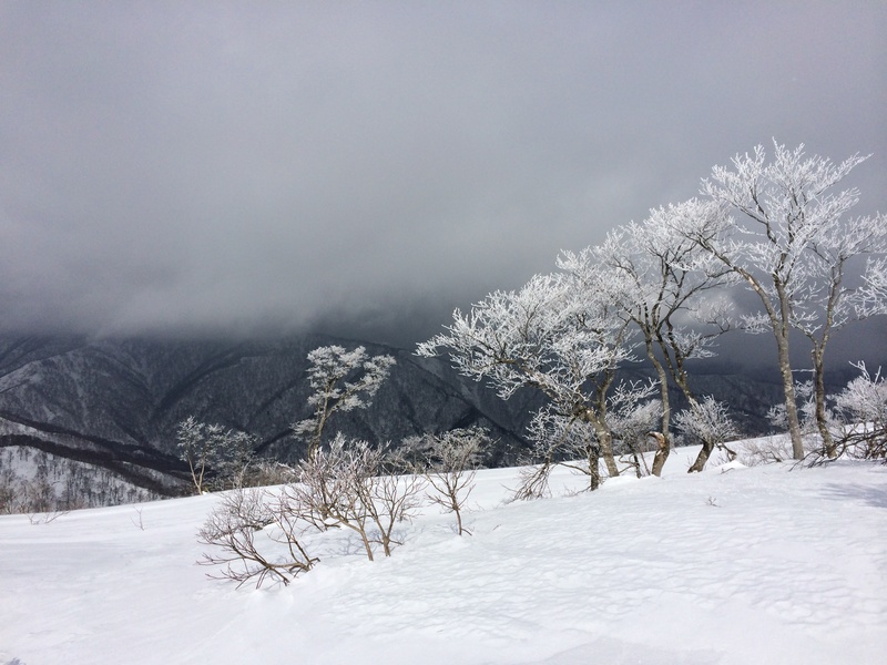 f:id:nceedo:20160206130608j:plain