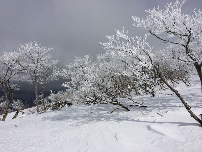 f:id:nceedo:20160206130612j:plain