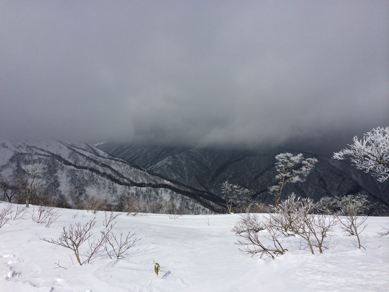 f:id:nceedo:20160206130614j:plain