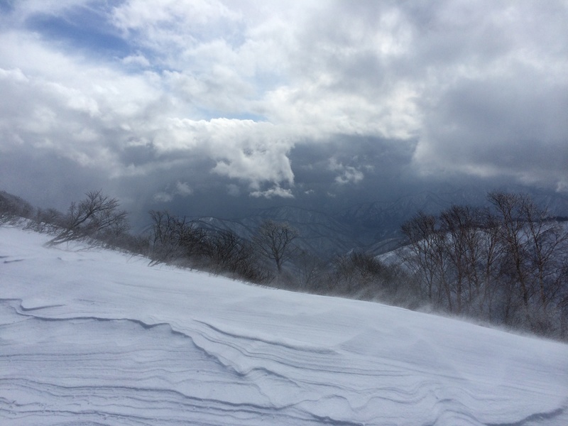 f:id:nceedo:20160206130752j:plain