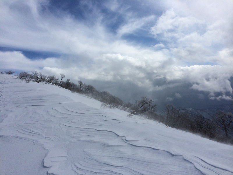 f:id:nceedo:20160206130755j:plain