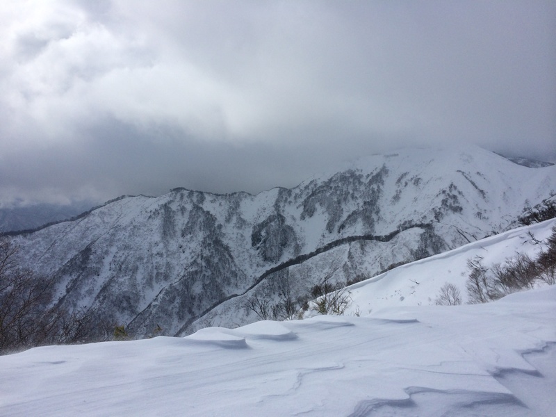 f:id:nceedo:20160206130758j:plain