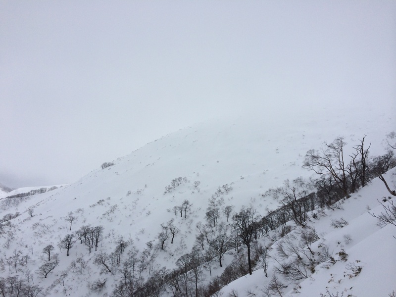 f:id:nceedo:20160206133743j:plain