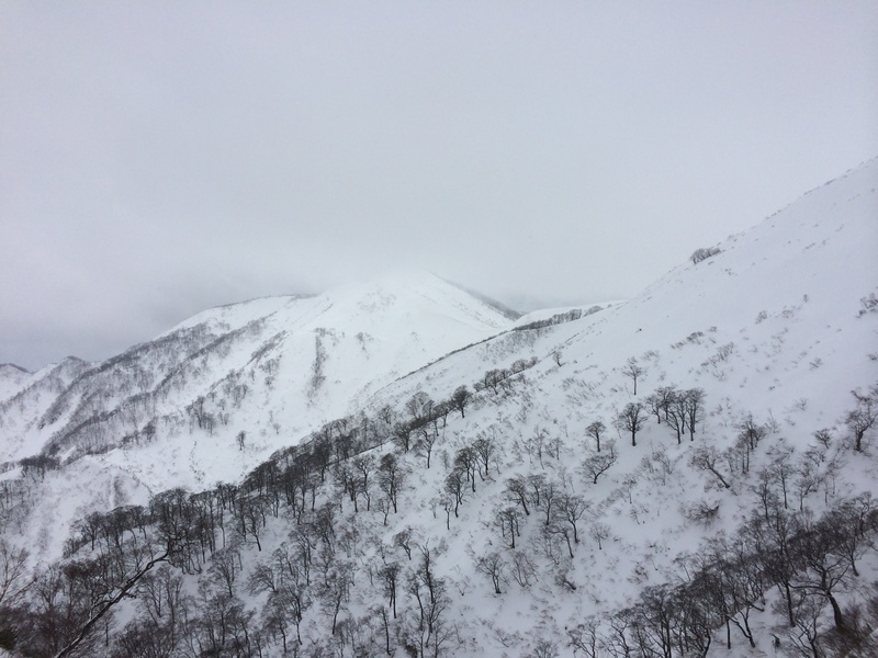 f:id:nceedo:20160206133843j:plain