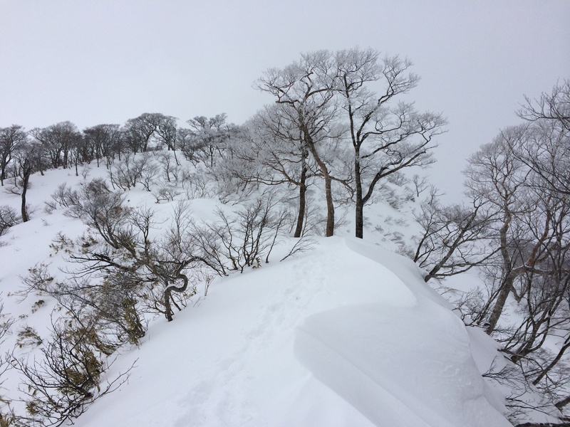 f:id:nceedo:20160206133847j:plain