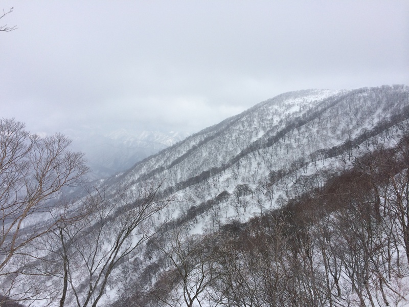 f:id:nceedo:20160206133853j:plain