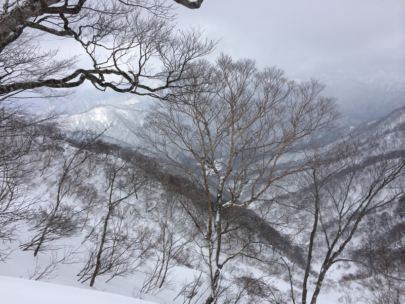 f:id:nceedo:20160206133857j:plain