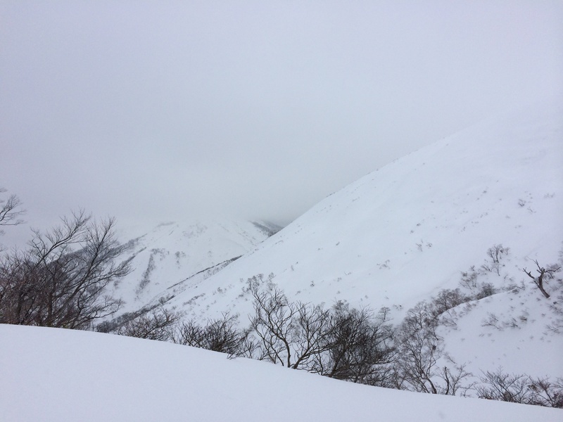 f:id:nceedo:20160206134820j:plain