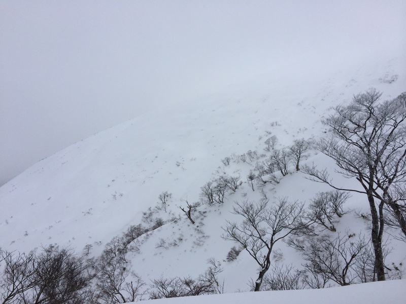 f:id:nceedo:20160206134823j:plain