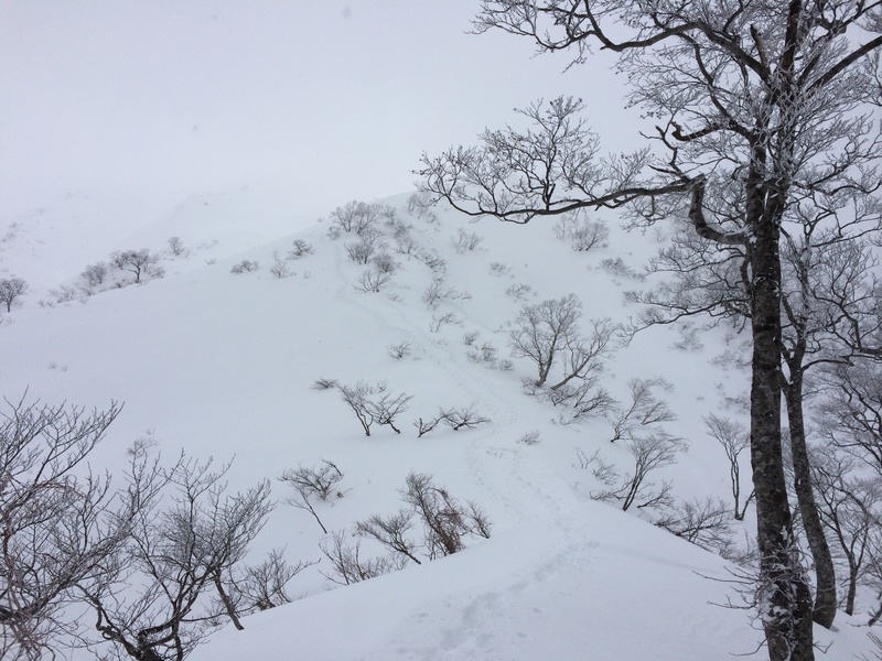 f:id:nceedo:20160206134832j:plain