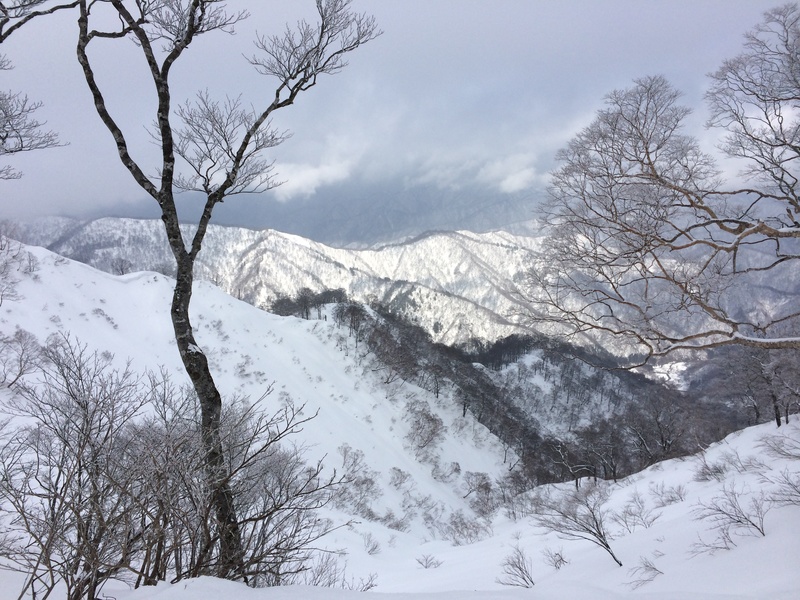 f:id:nceedo:20160206134835j:plain