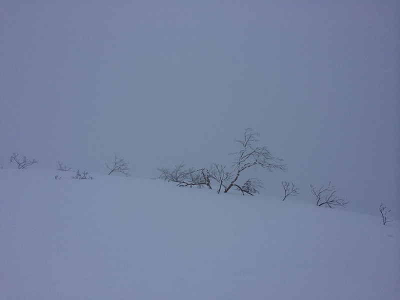 f:id:nceedo:20160206143955j:plain