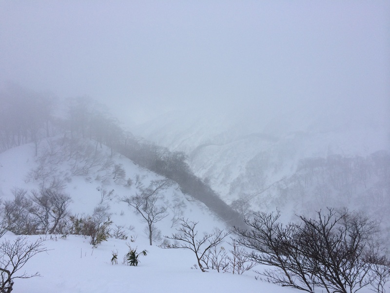 f:id:nceedo:20160206150716j:plain