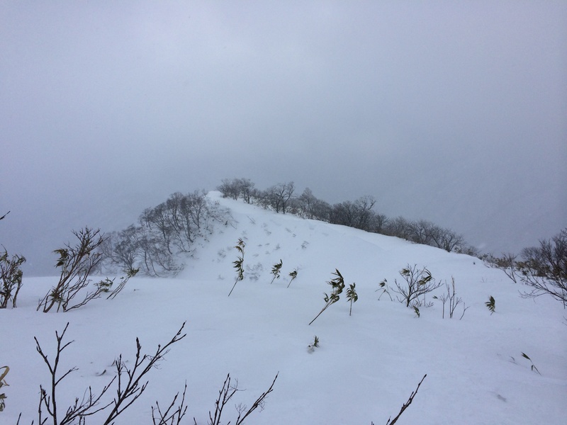 f:id:nceedo:20160206161016j:plain