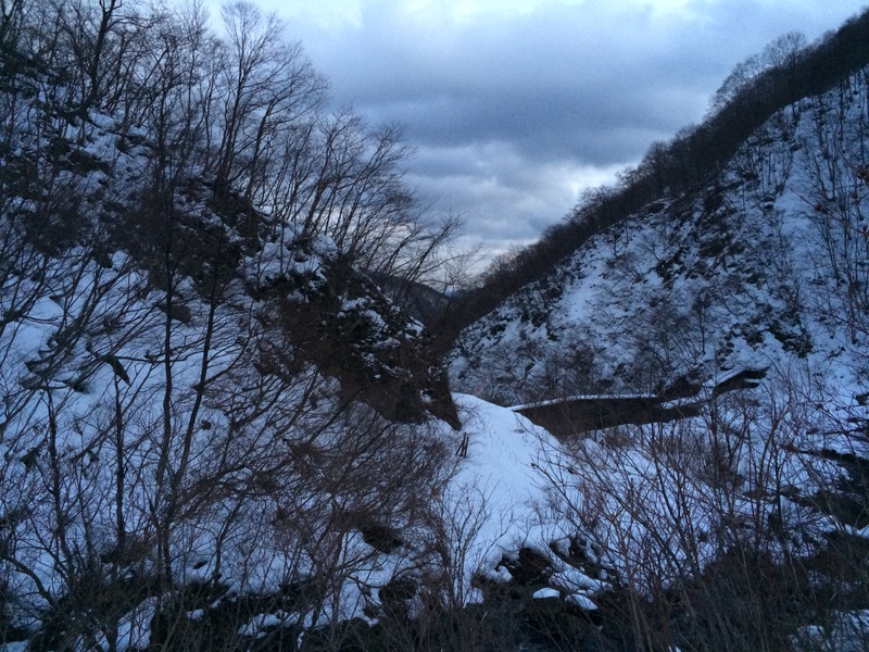 f:id:nceedo:20160206174005j:plain