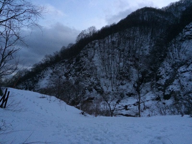 f:id:nceedo:20160206174416j:plain