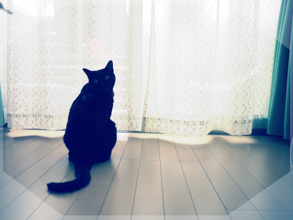 f:id:neco18bk:20150825004955j:image f:id:neco18bk:20150825004955j:image