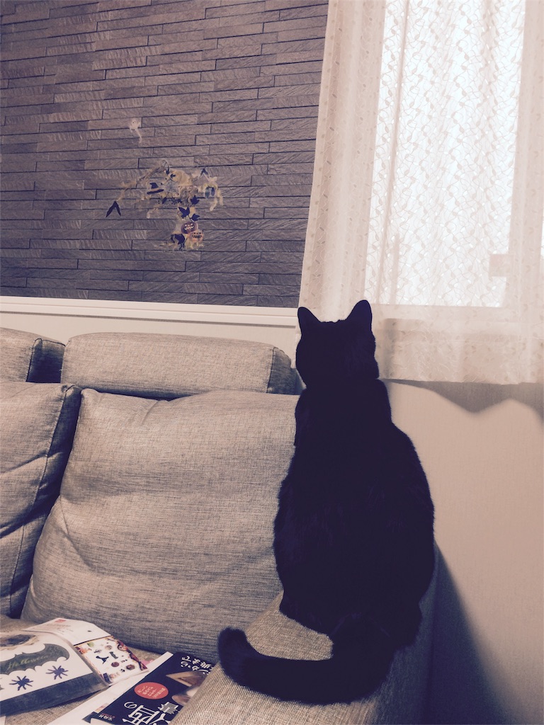 f:id:neco18bk:20151026175021j:image f:id:neco18bk:20151026175021j:image