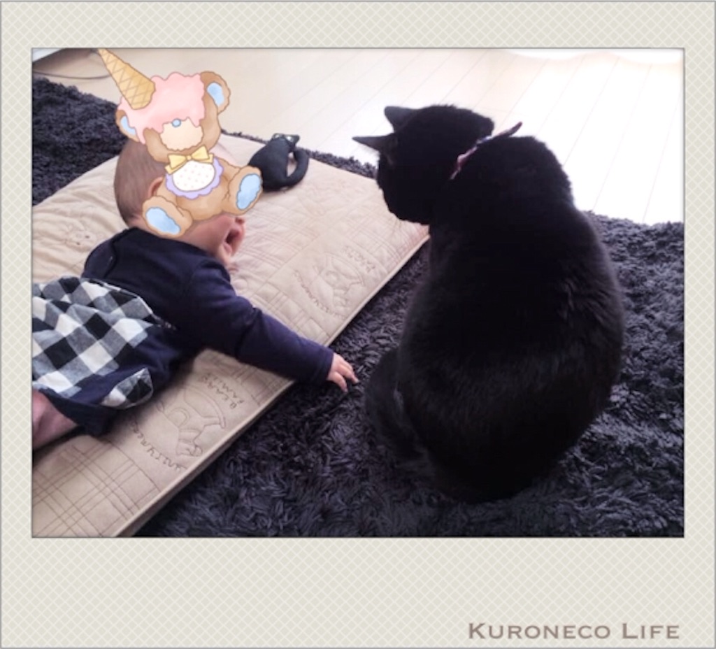 f:id:neco18bk:20160119001544j:image f:id:neco18bk:20160119001544j:image