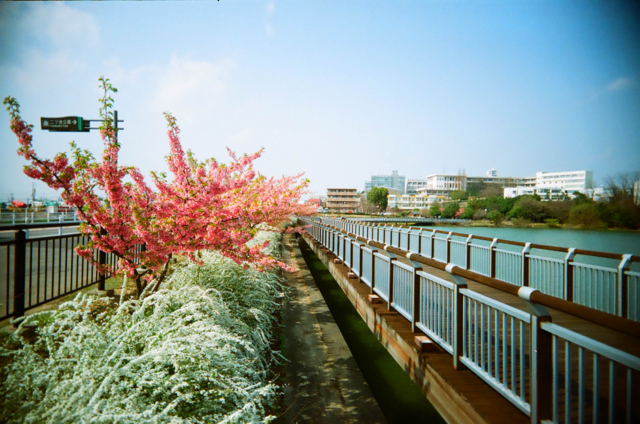 f:id:necogista:20150426213302j:plain