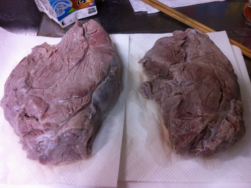 f:id:negineesan:20121019002130j:plain