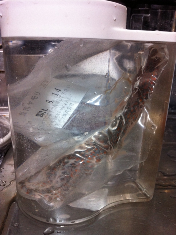 f:id:negineesan:20131226172002j:plain