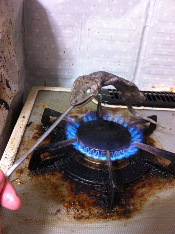 f:id:negineesan:20131226203000j:plain