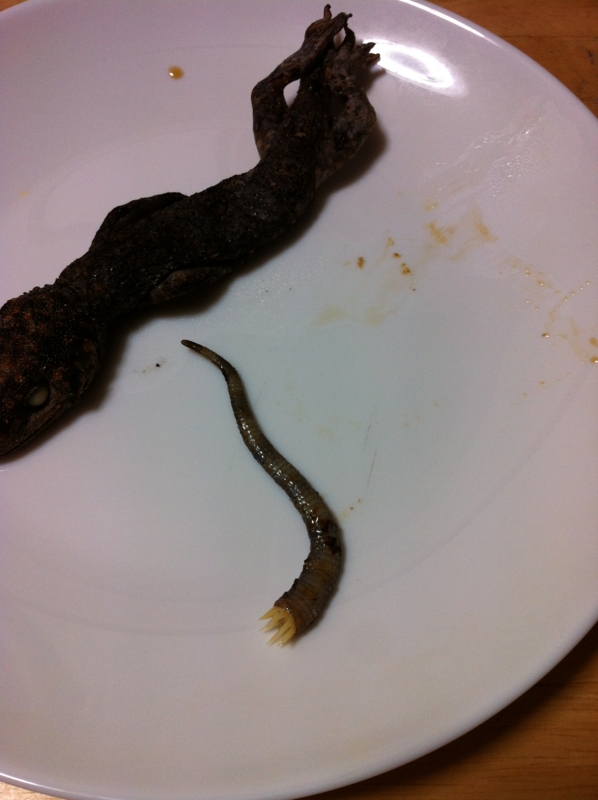 f:id:negineesan:20131226203438j:plain