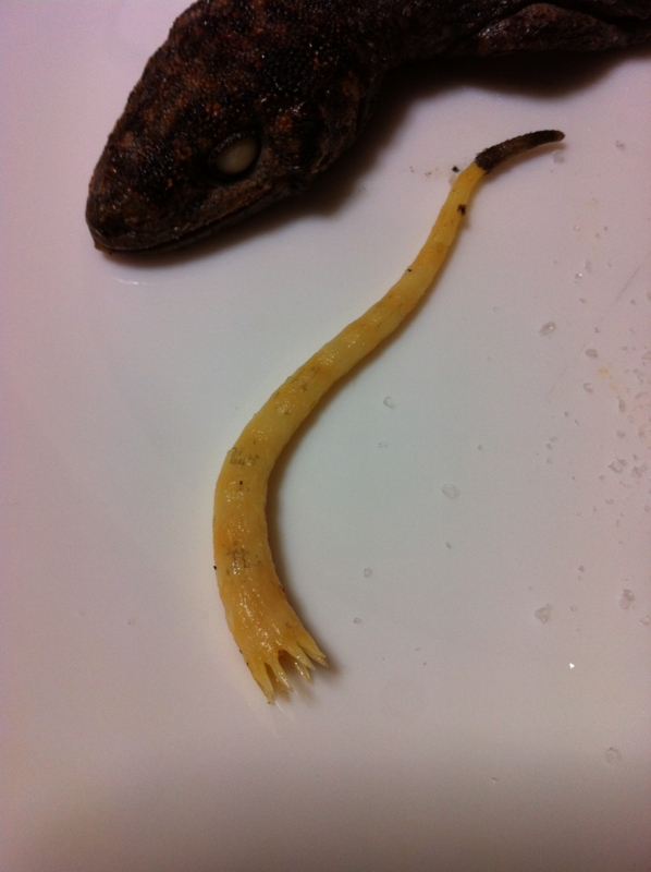 f:id:negineesan:20131226203821j:plain