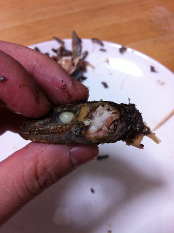 f:id:negineesan:20131226210009j:plain