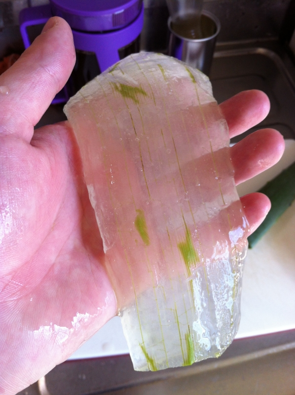 f:id:negineesan:20140113095157j:plain