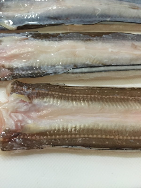 f:id:negineesan:20150405184235j:plain