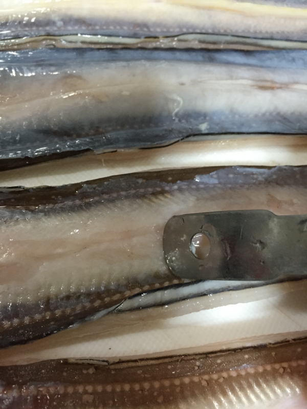 f:id:negineesan:20150405184246j:plain