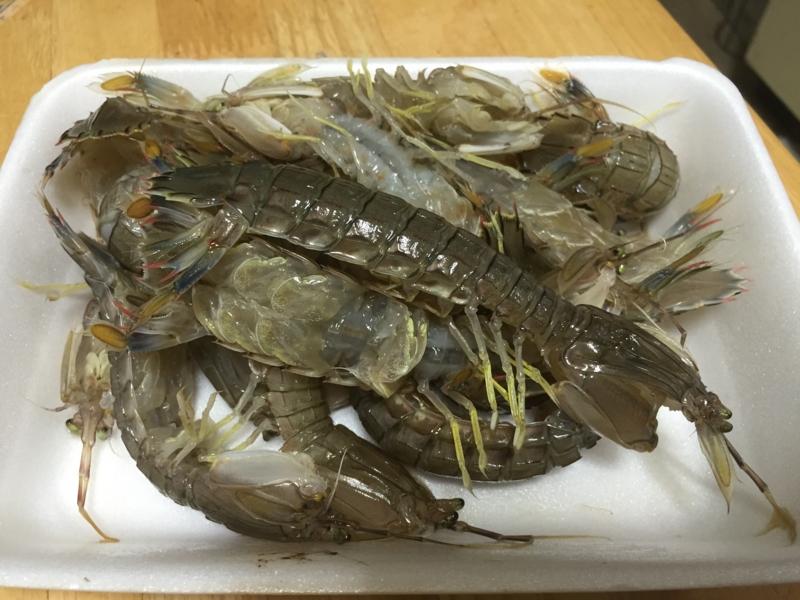 f:id:negineesan:20151010183832j:plain