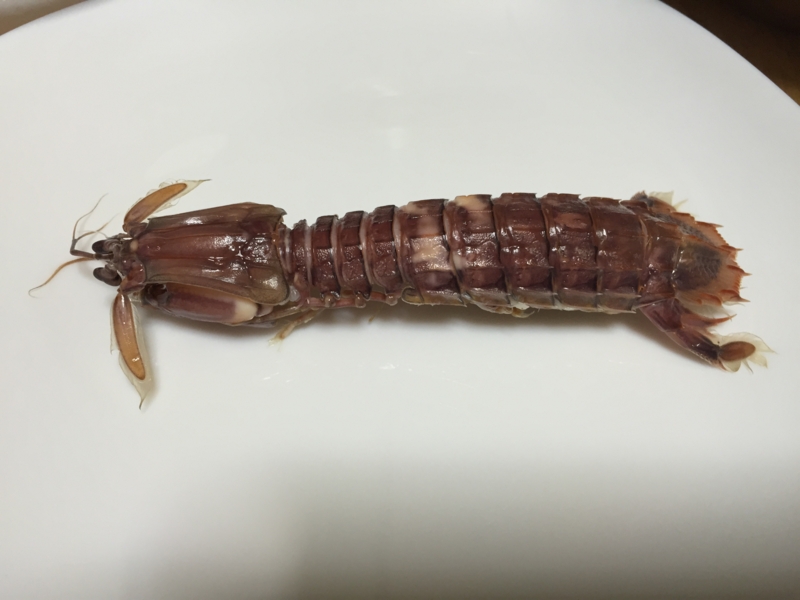 f:id:negineesan:20151010184934j:plain