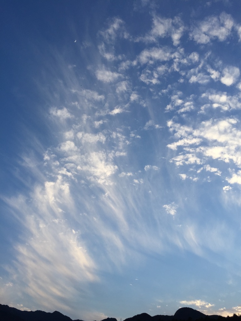 f:id:nejimakiya:20150825093632j:image f:id:nejimakiya:20150825093632j:image