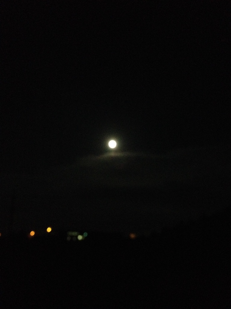 f:id:nejimakiya:20150901130359j:image f:id:nejimakiya:20150901130359j:image