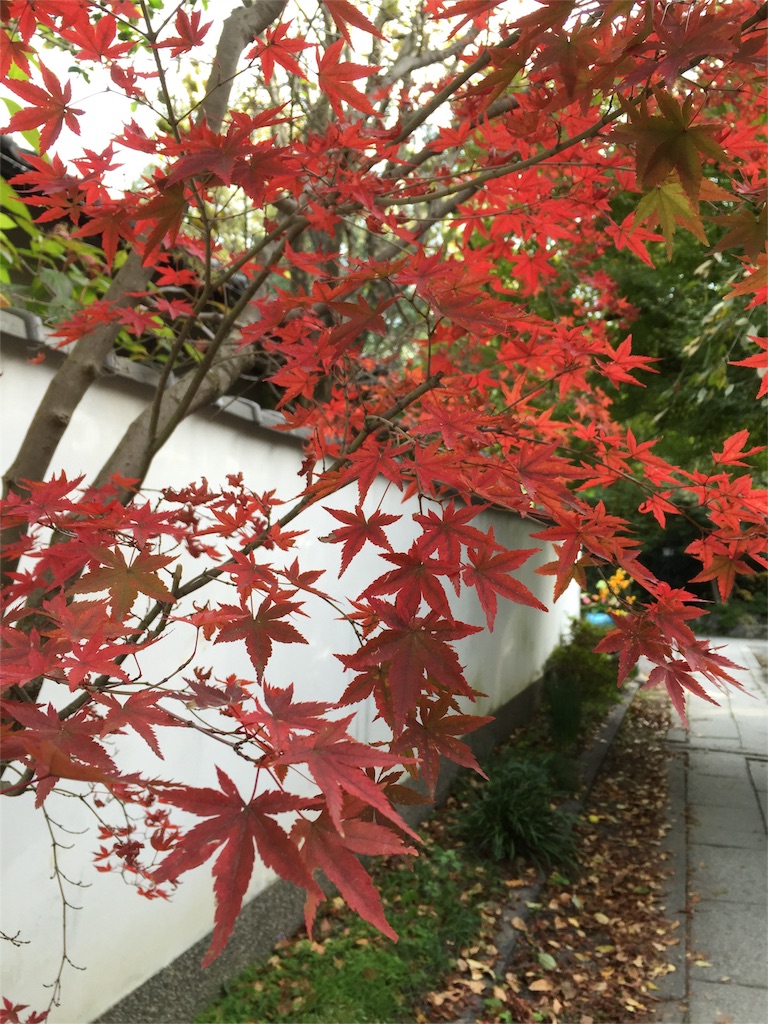 f:id:nejimakiya:20151101222144j:image f:id:nejimakiya:20151101222144j:image