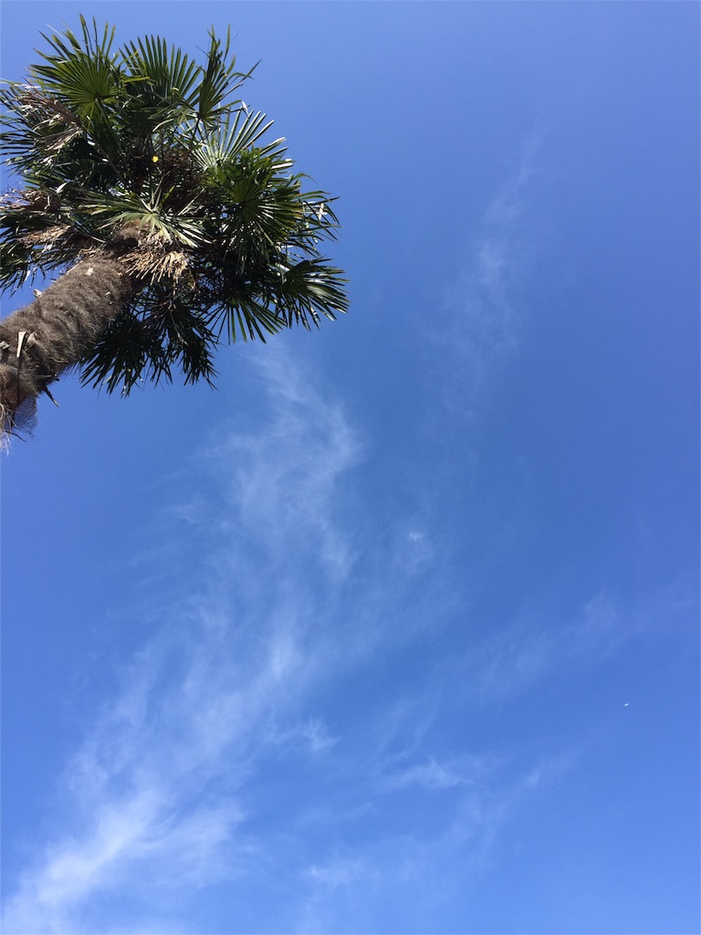 f:id:nejimakiya:20151105175032j:image f:id:nejimakiya:20151105175032j:image