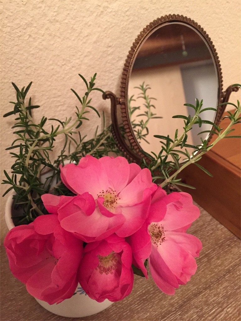 f:id:nejimakiya:20151126205303j:image f:id:nejimakiya:20151126205303j:image