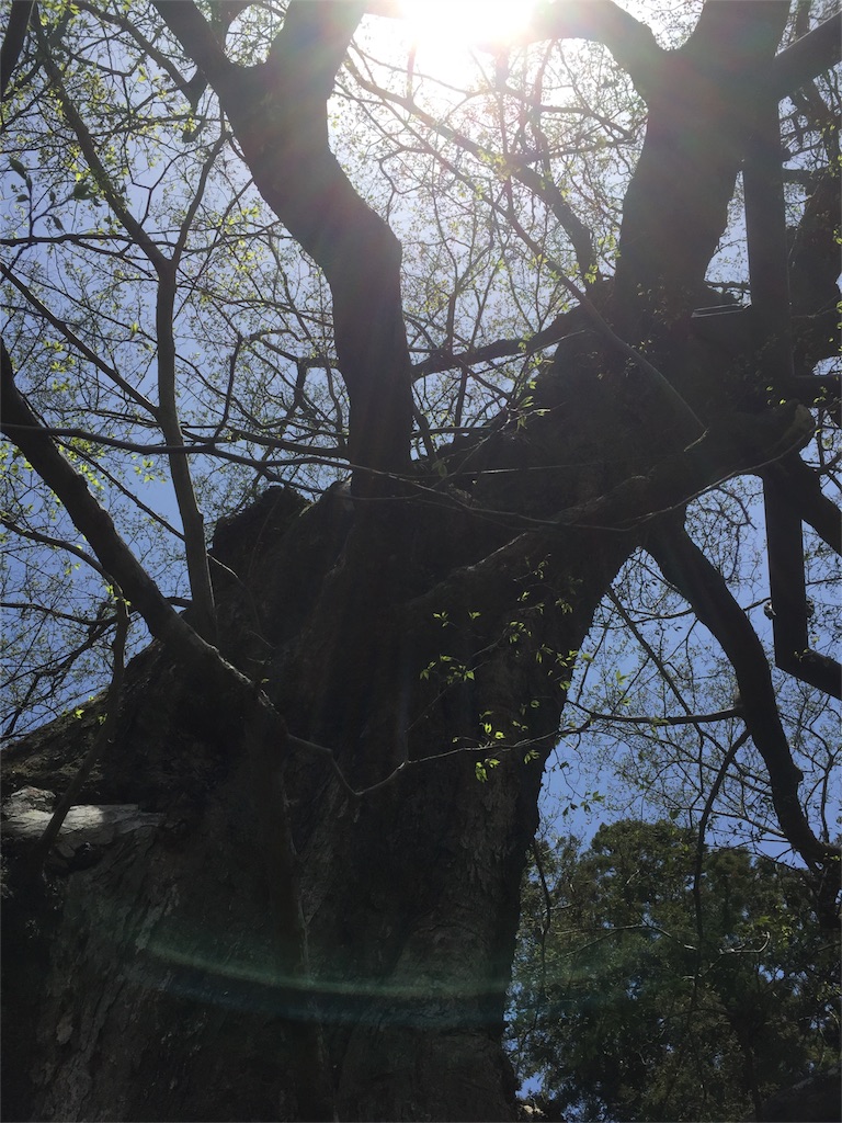 f:id:nejimakiya:20160419173317j:image f:id:nejimakiya:20160419173317j:image