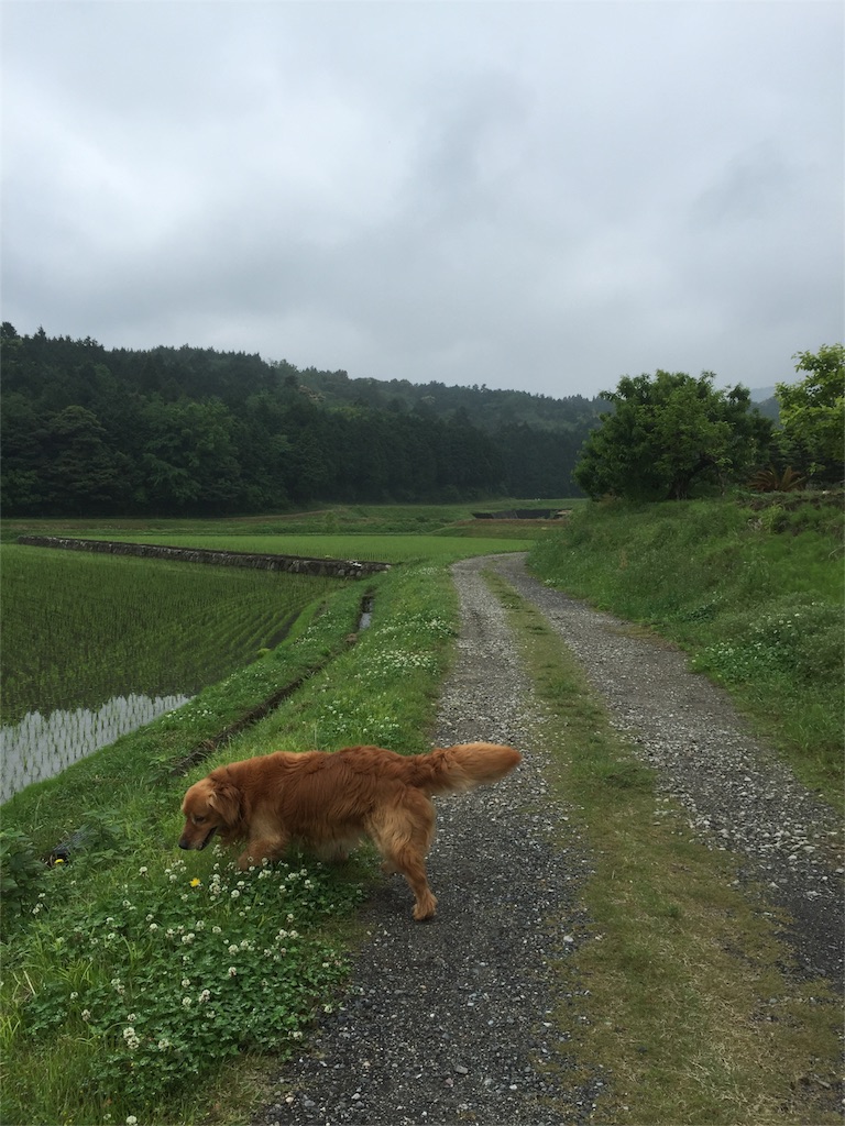 f:id:nejimakiya:20160510210155j:image f:id:nejimakiya:20160510210155j:image