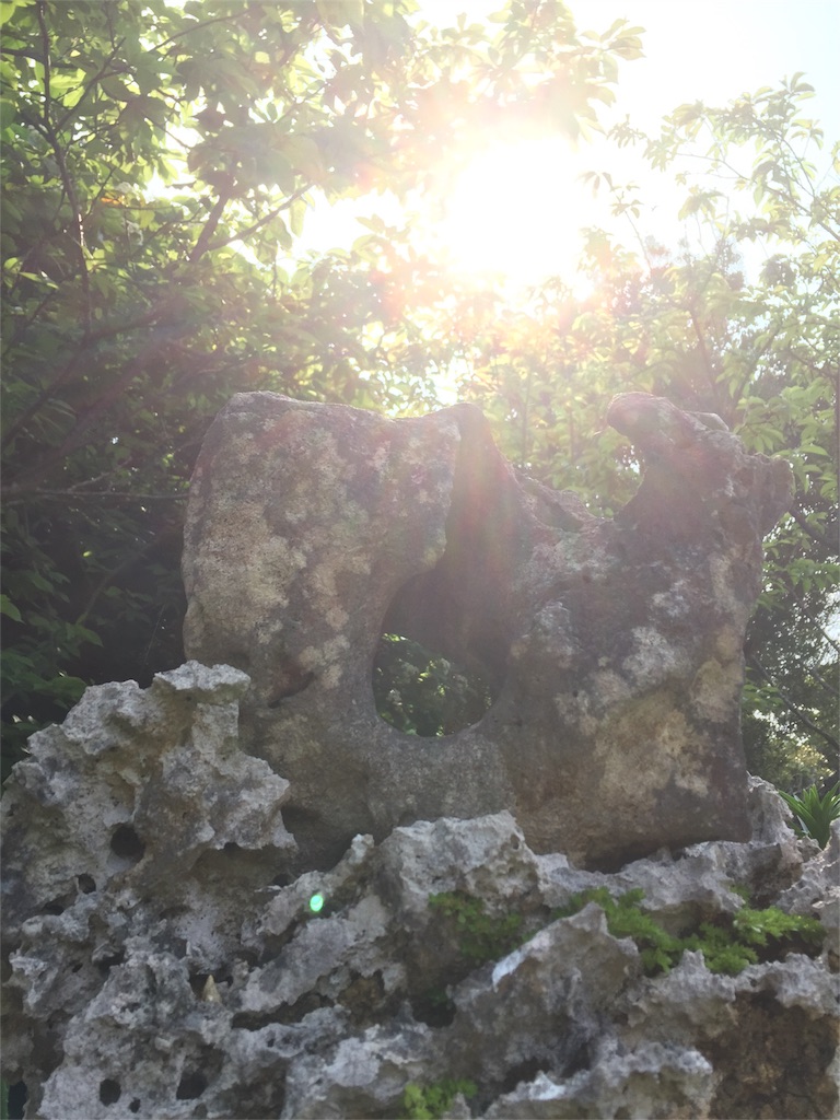 f:id:nejimakiya:20160606202202j:image f:id:nejimakiya:20160606202202j:image