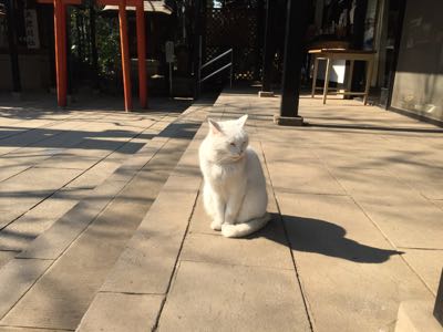 f:id:neko_abura:20150212154317j:image f:id:neko_abura:20150212154317j:image